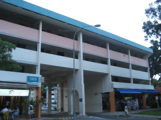 Blk 509 Bedok North Street 3 (Bedok), HDB 4 Rooms #189762